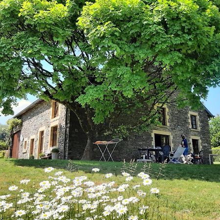 La Maison Des Marguerites Vresse-sur-Semois Buitenkant foto