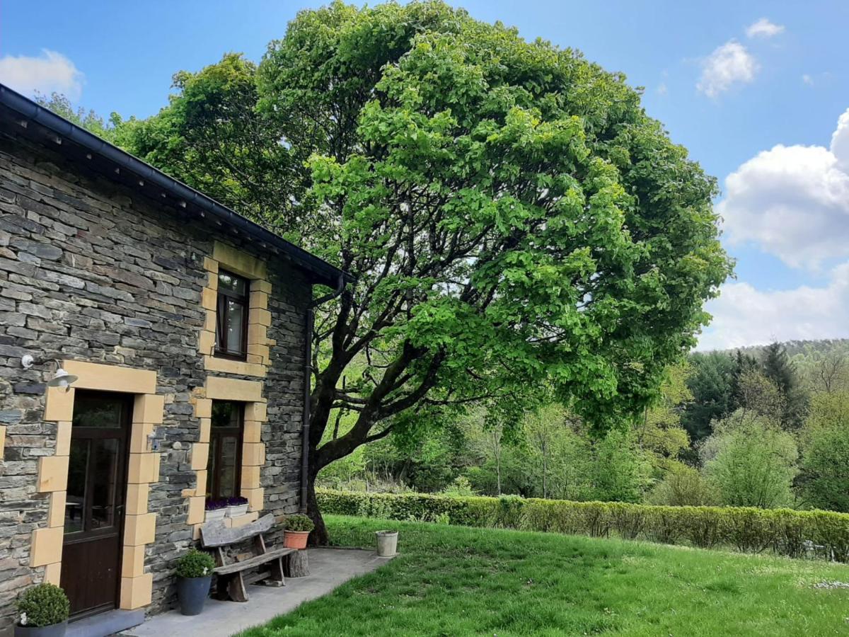 La Maison Des Marguerites Vresse-sur-Semois Buitenkant foto