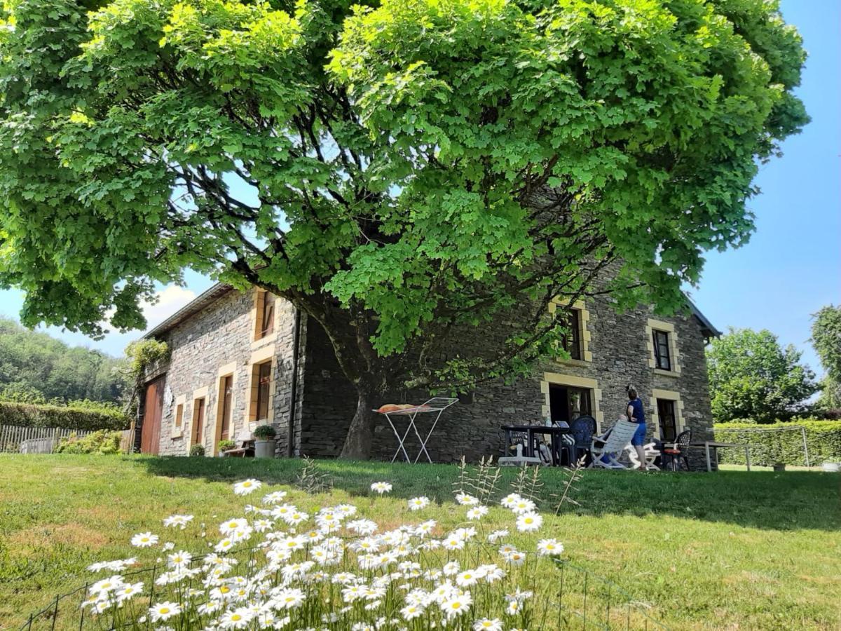La Maison Des Marguerites Vresse-sur-Semois Buitenkant foto