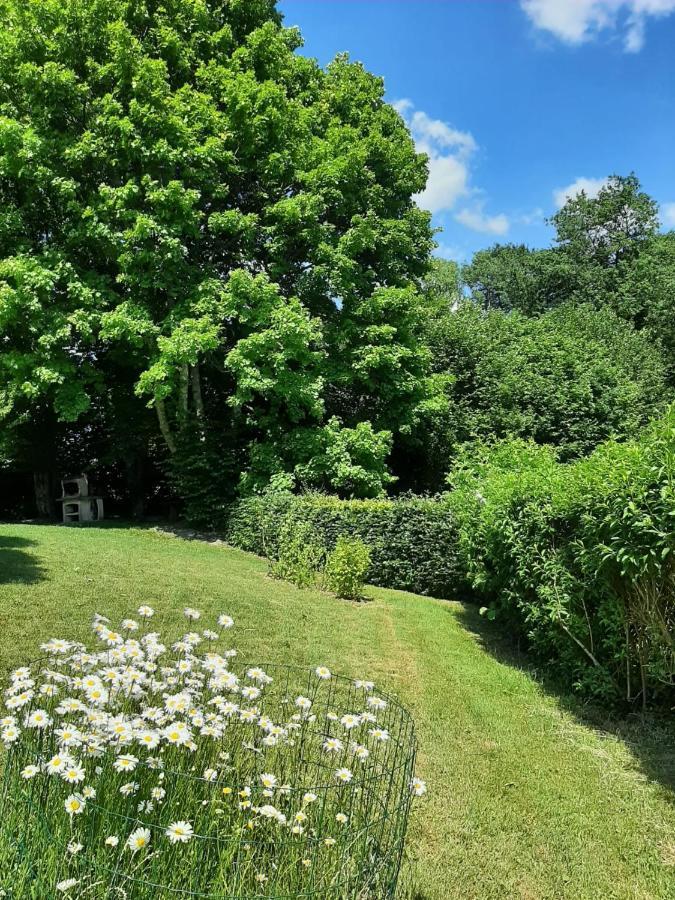 La Maison Des Marguerites Vresse-sur-Semois Buitenkant foto