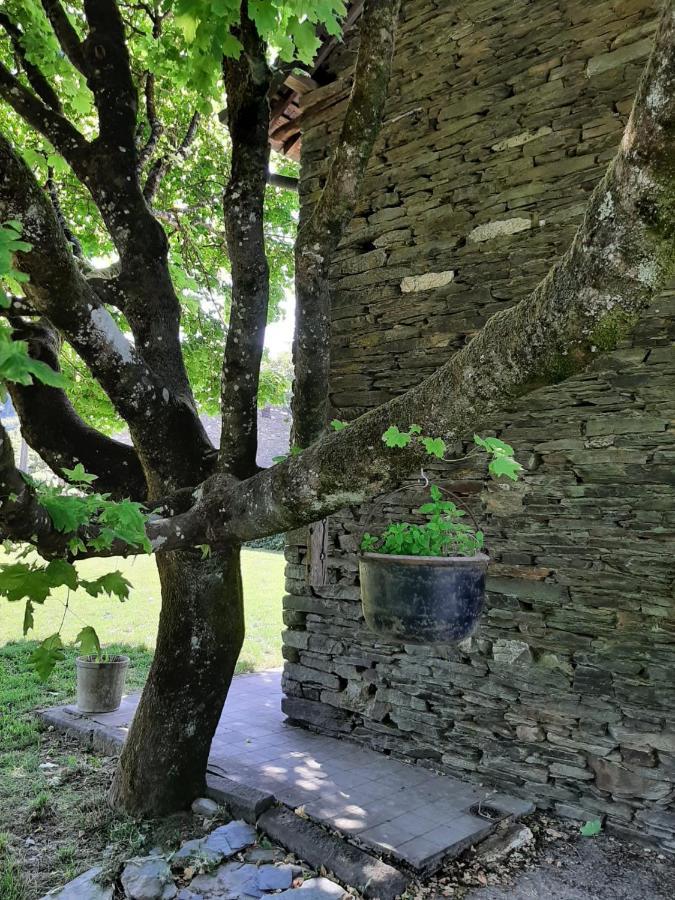 La Maison Des Marguerites Vresse-sur-Semois Buitenkant foto
