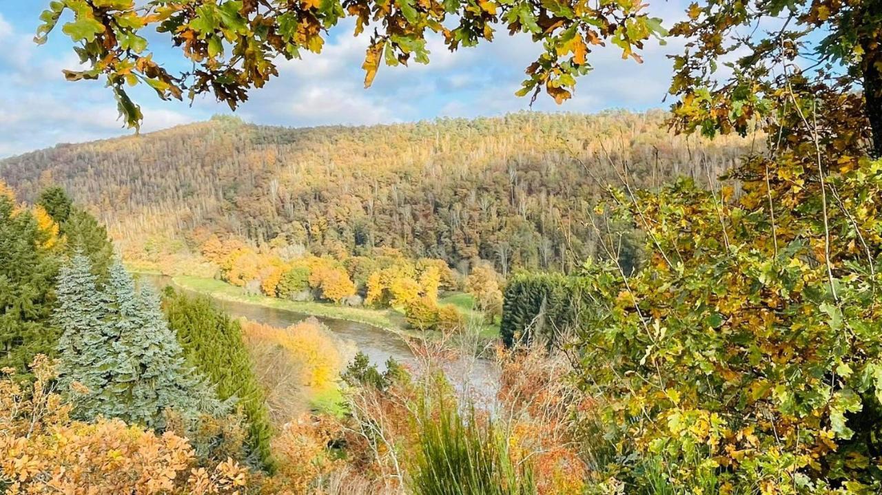 La Maison Des Marguerites Vresse-sur-Semois Buitenkant foto