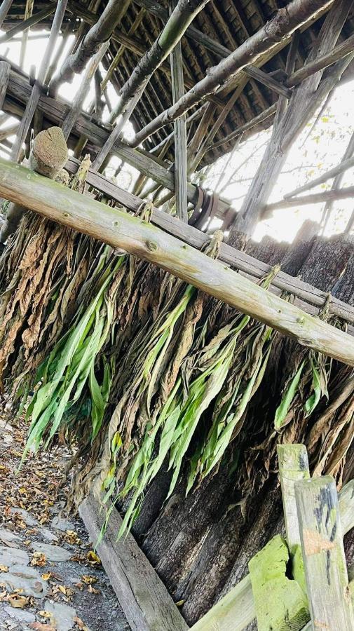 La Maison Des Marguerites Vresse-sur-Semois Buitenkant foto