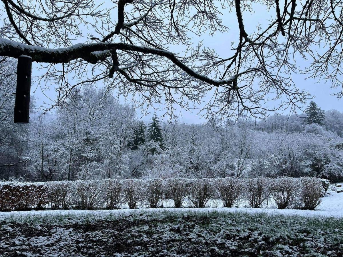 La Maison Des Marguerites Vresse-sur-Semois Buitenkant foto