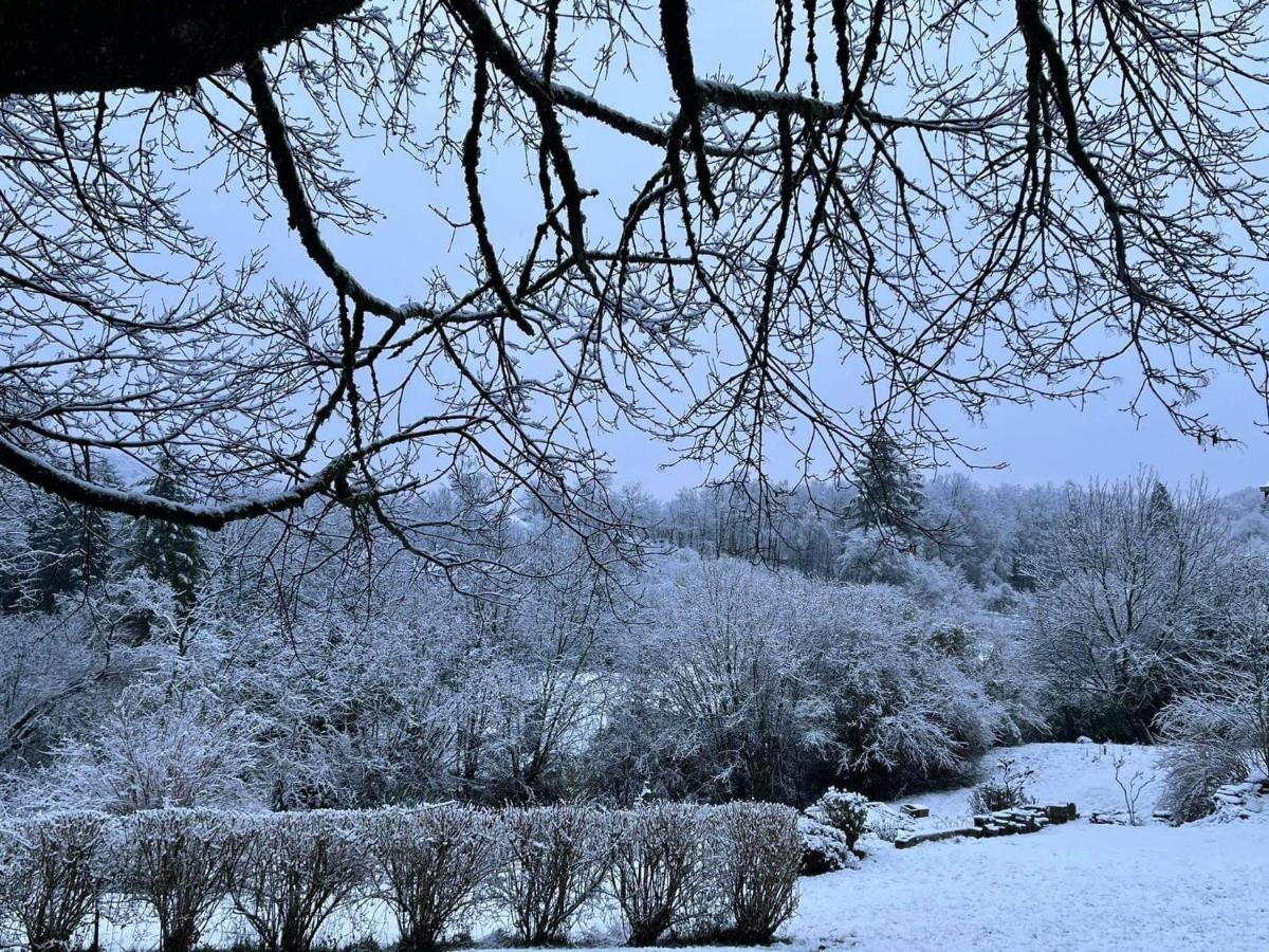 La Maison Des Marguerites Vresse-sur-Semois Buitenkant foto