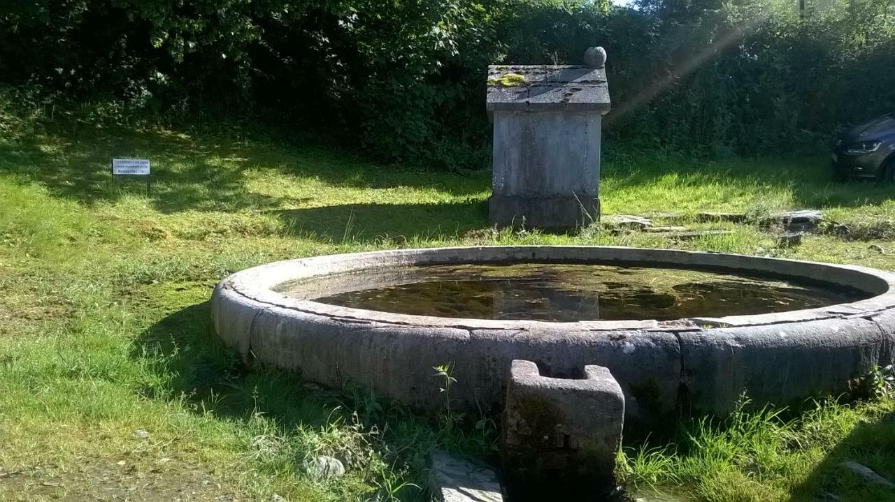 La Maison Des Marguerites Vresse-sur-Semois Buitenkant foto